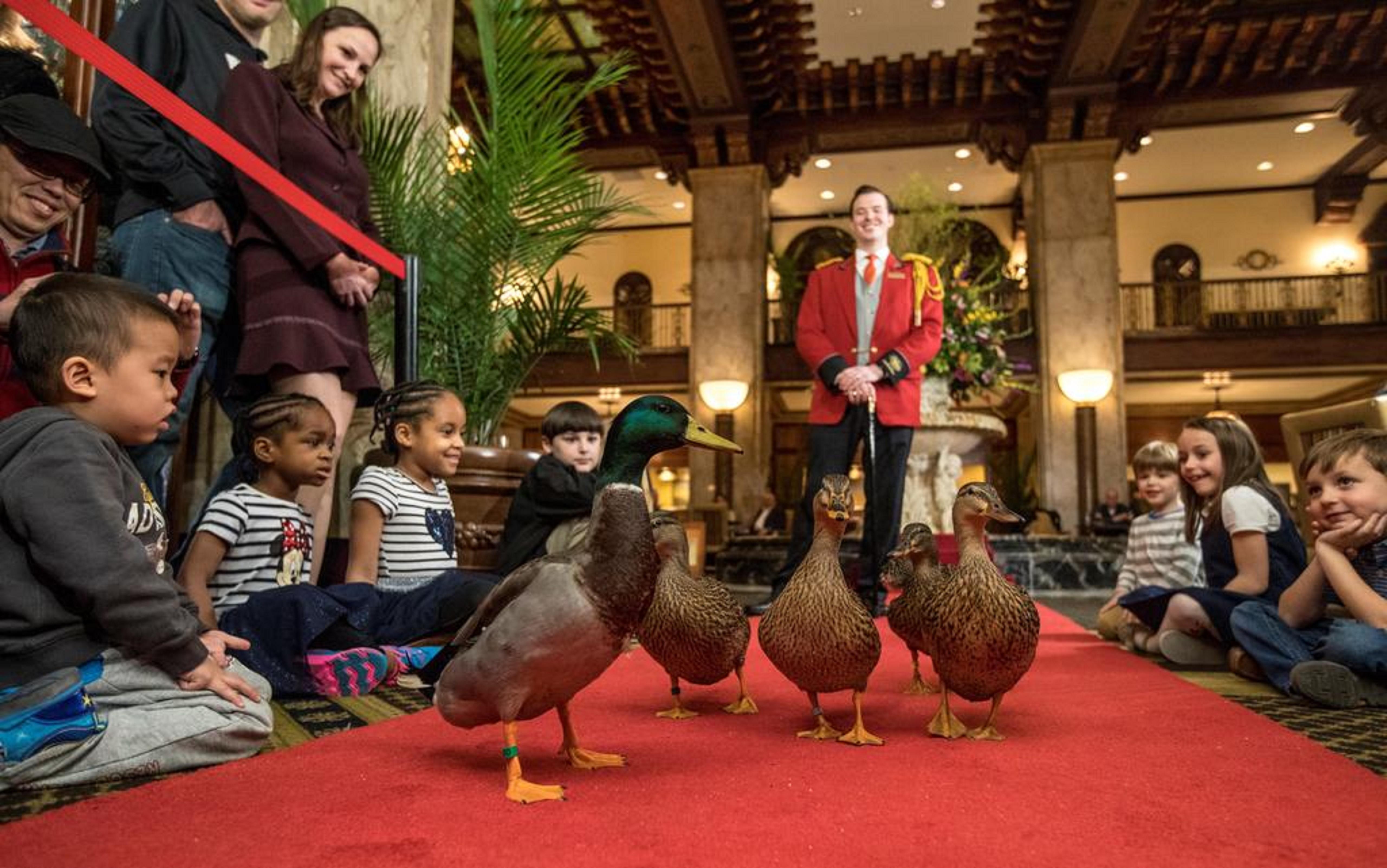 Peabody Memphis Hotel Luaran gambar